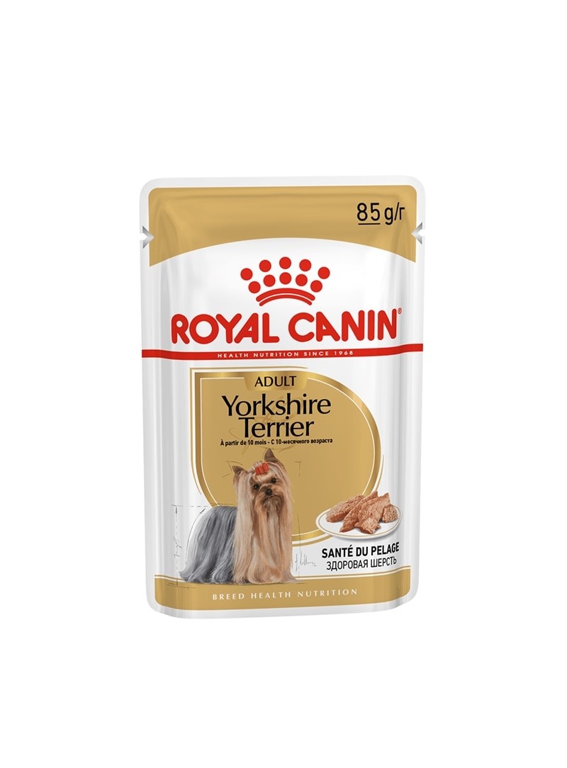 ROYAL CANIN YORKSHIRE TERRIER ADULT | SAQUETA - 85gr - RCYOTER85