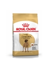 ROYAL CANIN GREAT DANE ADULT - 12kg - RCGRETDA12