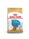 ROYAL CANIN POODLE JUNIOR - 3kg - RCPOOJ3
