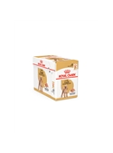 ROYAL CANIN POODLE ADULT SAQUETA - 85gr - R2043000