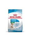 ROYAL CANIN MINI STARTER - 1kg - RCMSTR1