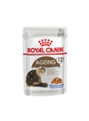 ROYAL CANIN CAT AGEING +12 - JELLY - 85gr - RCAGEJ85