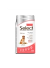 PICART SELECT SENSITIVE SALMON & RICE CANINE - 3kg - SELMSSRC3