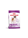 ROYAL CANIN GIANT ADULT - 15kg - RCGADL15