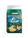 VERSELE-LAGA FENO DA MONTANHA - Dente-de-Leão - 500gr #1 - FM424181