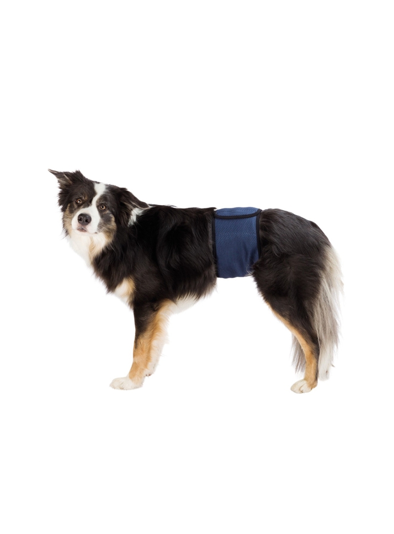 TRIXIE BANDA PARA CÃES MACHOS INCONTINENTES - S - TX23661