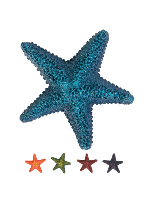 TRIXIE ESTRELAS DO MAR - Sortido - 9cm - TX8866