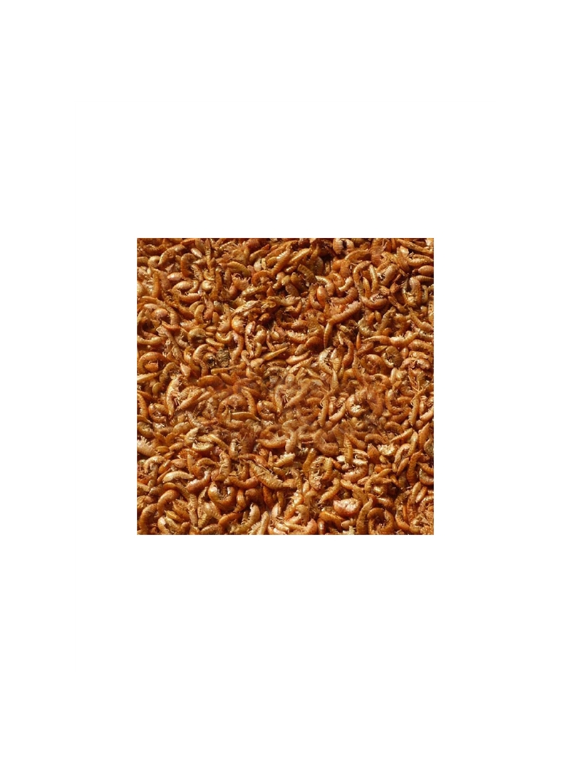 ORNIEX TARTUGUEX GAMMARUS LIMPO E CALIBRADO - 1kg - EX2553 ORNIEX TARTUGUEX GAMMARUS LIMPO E CALIBRADO - 1kg - EX2553