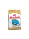ROYAL CANIN FRENCH BULLDOG JUNIOR - 3kg | Validade do produto 03/03/2025 - RCFRBUJN3