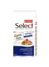 PICART SELECT GRAIN FREE DOG ADULT SALMON MENU - 2kg - P52070
