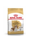 ROYAL CANIN CAVALIER KING CHARLES ADULT - 3kg - RCCAVKC3