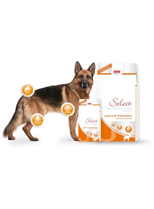 PICART SELECT VET JOINT & MOBILITY CANINE - 2kg - SELMVDJM2