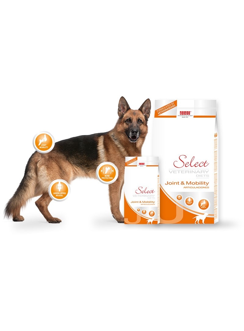 PICART SELECT VET JOINT & MOBILITY CANINE - 2kg - SELMVDJM2 PICART SELECT VET JOINT & MOBILITY CANINE - 2kg - SELMVDJM2