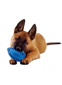 NERF TEETHER FOOTBALL - Verde - S - NE02235