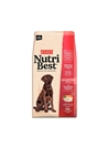 PICART NUTRIBEST SENSITIVE SALMON E RICE CANINE - 3kg - NUTBSENT3