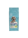 DOG CHOW PUPPY LARGE BREED - 14kg - DCHPLAB