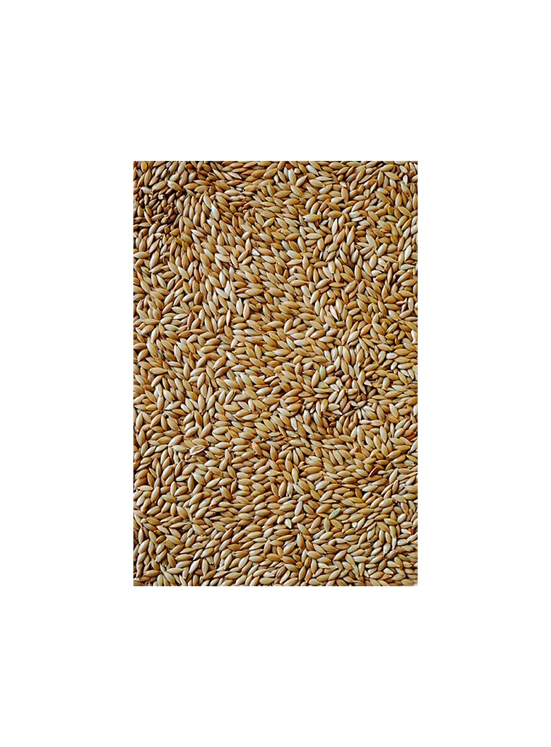 VERSELE LAGA ALPISTA PARA CANÁRIOS - 1kg - I451302