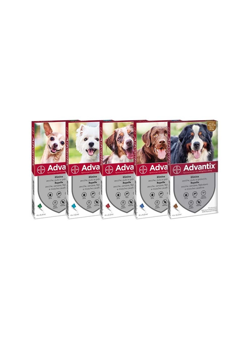 ADVANTIX CÃO - Menos de 4kg - ADVAT040 ADVANTIX CÃO - Menos de 4kg - ADVAT040