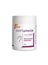 DOLVIT LYSINE CAT - 70gr - DOLVLYSCAT