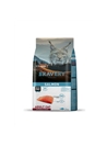 BRAVERY CAT ADULT SALMON STERILIZED GRAIN FREE - 2kg - BV20402