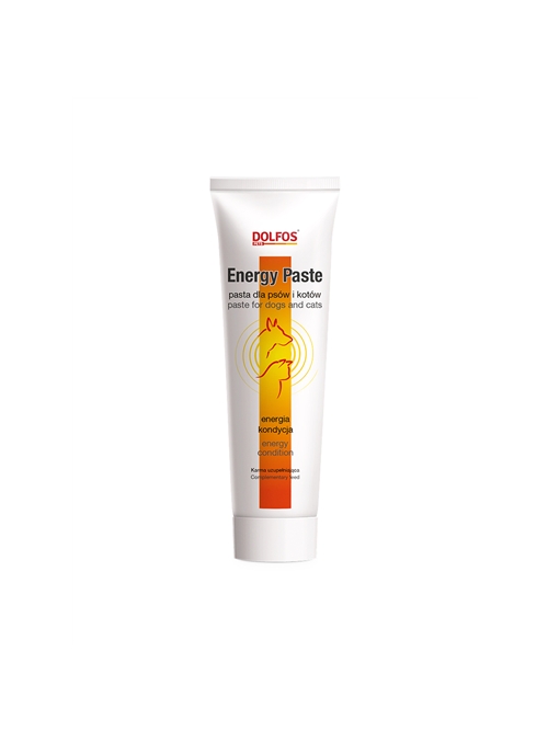 DOLFOS ENERGY PASTE - 100gr - ENERGYPAST