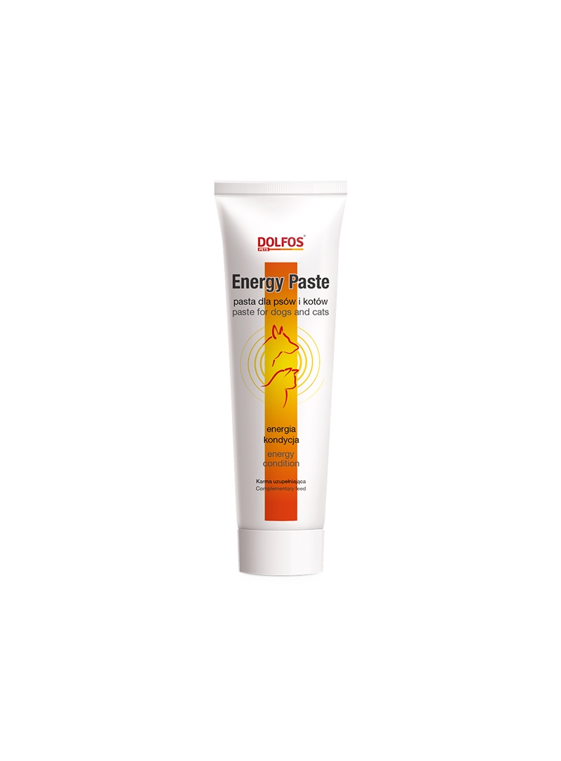 DOLFOS ENERGY PASTE - 100gr - ENERGYPAST
