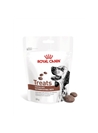 ROYAL CANIN GASTROINTESTINAL TREATS - 230gr - RC470340