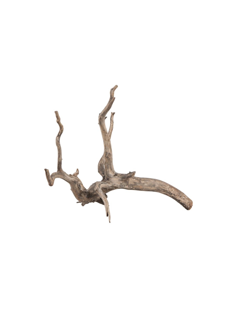 SERA SCAPET ROOT XS - 30 -35cm - M - SE32360