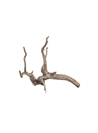 SERA SCAPET ROOT XS - 30 -35cm - M - SE32360