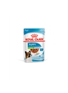 ROYAL CANIN X-SMALL PUPPY SAQUETA - 85gr - R428320