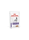 ROYAL CANIN DOG NEUTERED ADULT SAQUETA - 100gr - R1505000