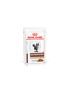 ROYAL CANIN CAT GASTRO INTESTINAL - GRAVY - 85gr - RC4039001