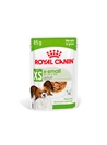 ROYAL CANIN X-SMALL ADULT - SAQUETA - 85gr - R457544