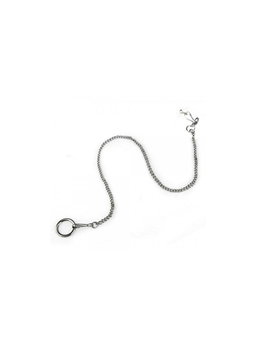 Orni-Ex Corrente com Anilha para Aves 45 cm – Cromada - 45cm - EXA3233