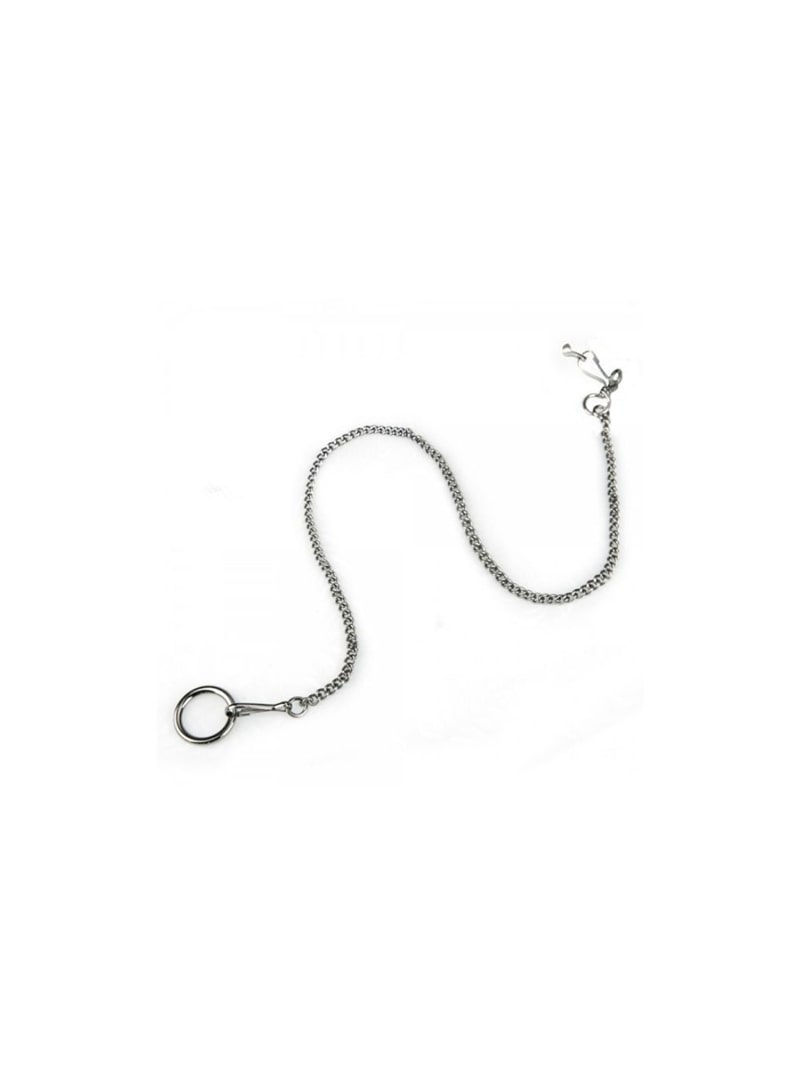 Orni-Ex Corrente com Anilha para Aves 45 cm – Cromada - 45cm - EXA3233 Orni-Ex Corrente com Anilha para Aves 45 cm – Cromada - 45cm - EXA3233