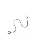 Orni-Ex Corrente com Anilha para Aves 45 cm – Cromada - 45cm - EXA3233