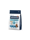 ADVANCE MEDIUM ADULT - 3kg - AD508319