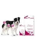 PICART SELECT VET DIGESTION CANINE - 2kg #1 - SELMVDD2