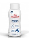 Royal Canin Recovery Liquid Cat/Dog-RCRECL0200 (2)