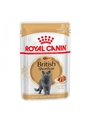 ROYAL CANIN BRITISH SHORTHAIR | SAQUETA - 85gr - RCBRSHO85