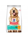 HILLS SCIENCE PLAN DOG LARGE PERFECT WEIGHT - 12kg - PW2645