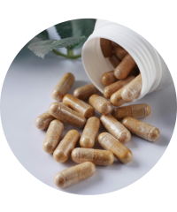 Suplementos para Saúde Urinária em Cães | Proteção Urinária