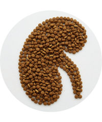 Ração para Saúde Renal em Gatos | Proteja os Rins do Seu Gato