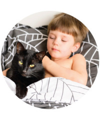 Saúde e Higiene do Gato | Ambiente e Casa | Pet City