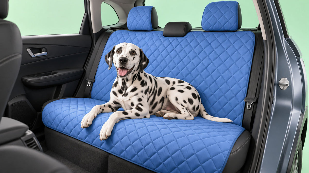 Capas de Banco para Cão