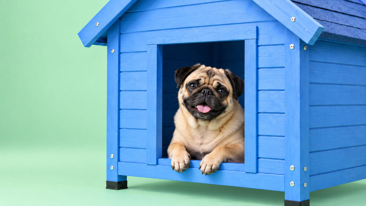 Casotas para Cão