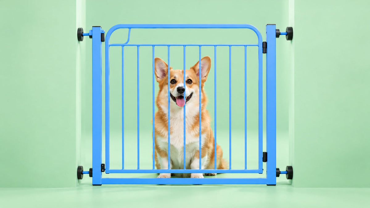 Portões e Barreiras para Cão