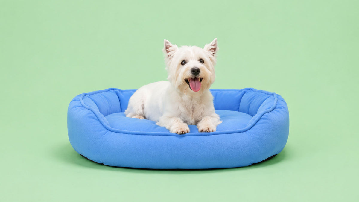 Camas para Cão