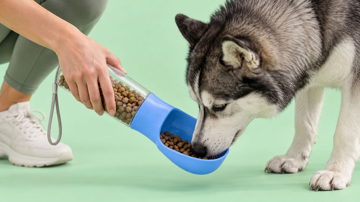 Dispensadores para Passeio de Cão