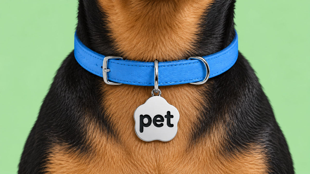 Identificadores para Cão